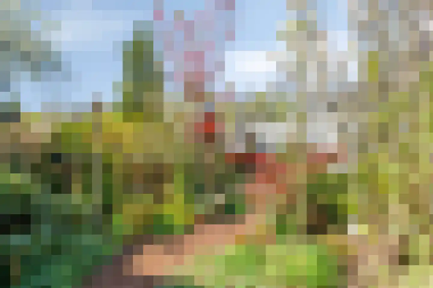Oosterwijklaan 6 Kaatsheuvel thumbnail 35
