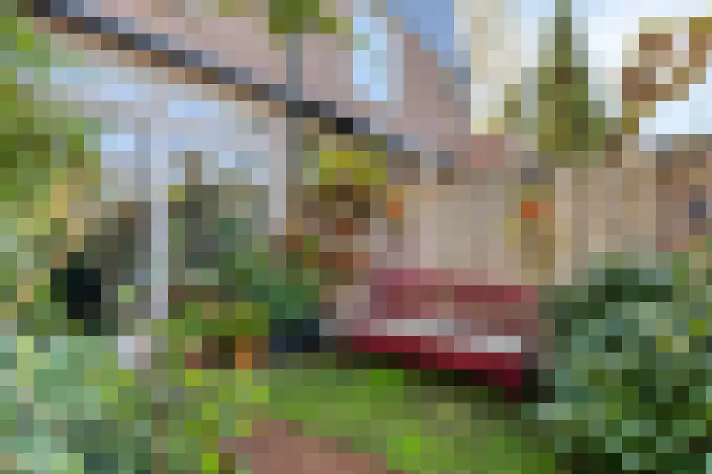 Oosterwijklaan 6 Kaatsheuvel thumbnail 36
