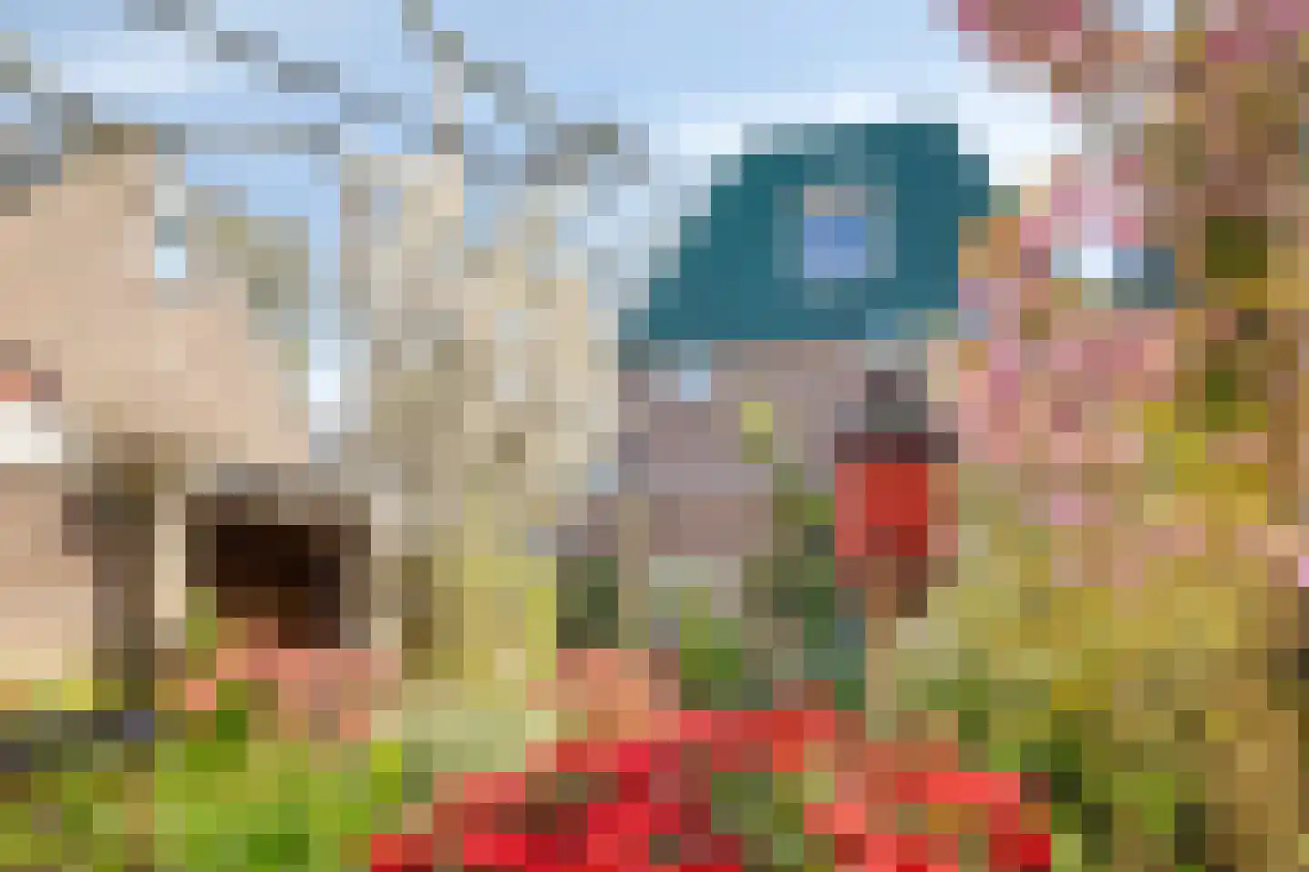 Oosterwijklaan 6 Kaatsheuvel thumbnail 39