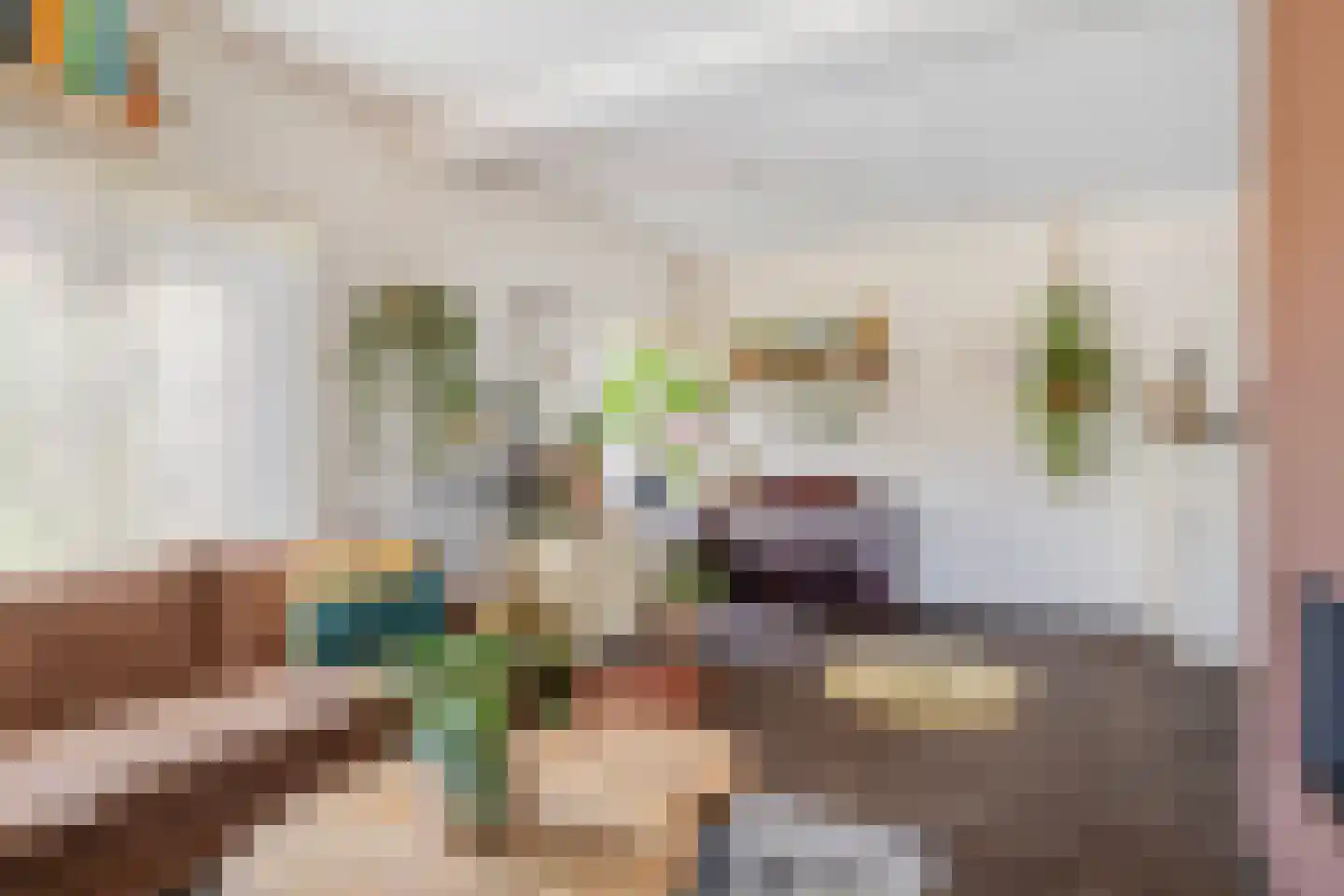 Oosterwijklaan 6 Kaatsheuvel thumbnail 9