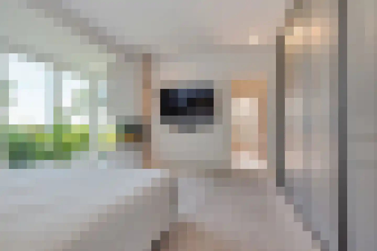 Oosterwijzend 40 Nibbixwoud thumbnail 14