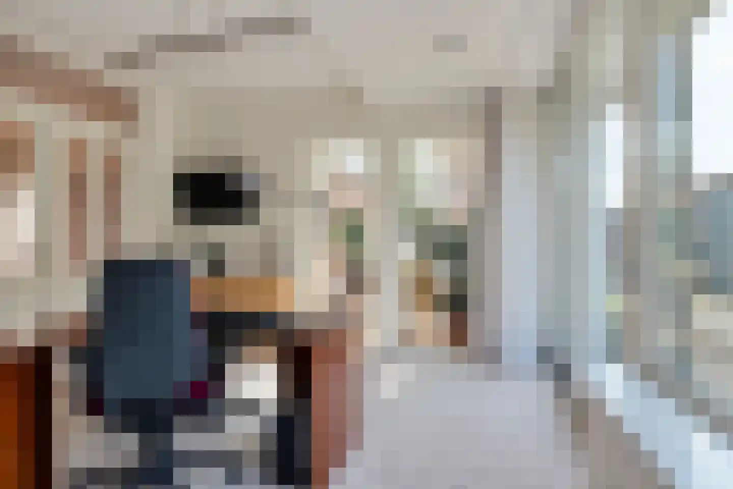 Oosterwijzend 40 Nibbixwoud thumbnail 17