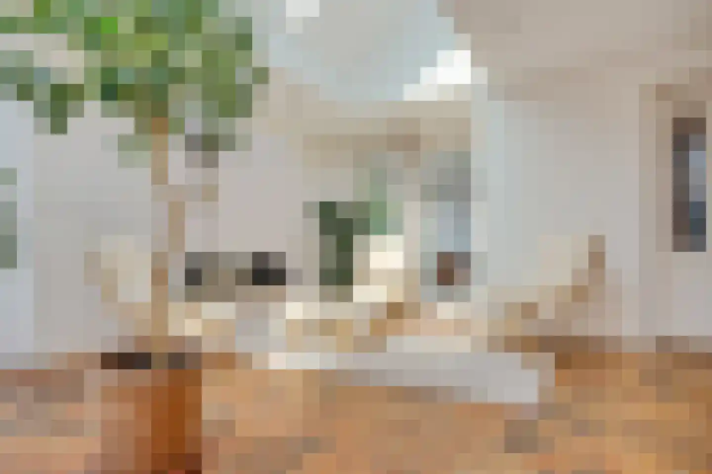 Oosterwijzend 40 Nibbixwoud thumbnail 18
