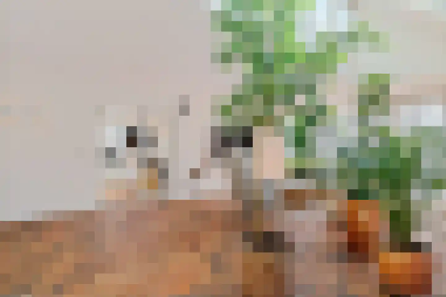 Oosterwijzend 40 Nibbixwoud thumbnail 24