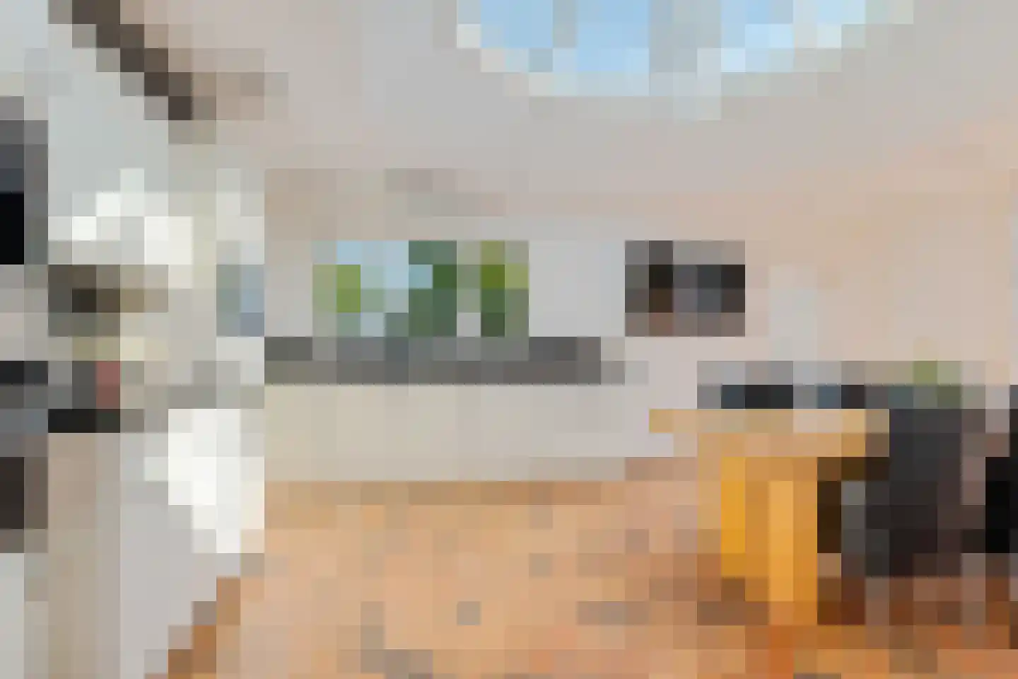 Oosterwijzend 40 Nibbixwoud thumbnail 25