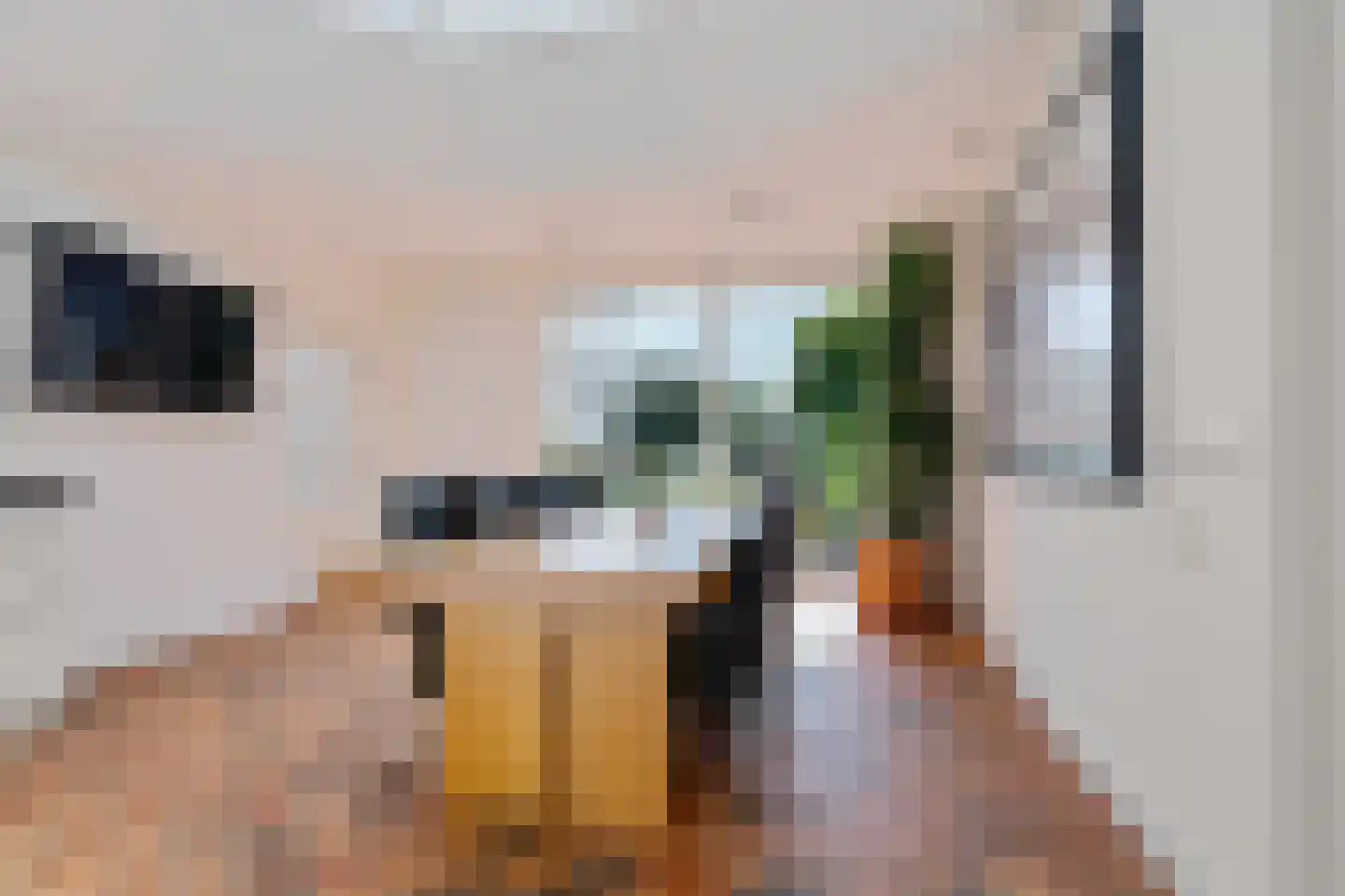 Oosterwijzend 40 Nibbixwoud thumbnail 26
