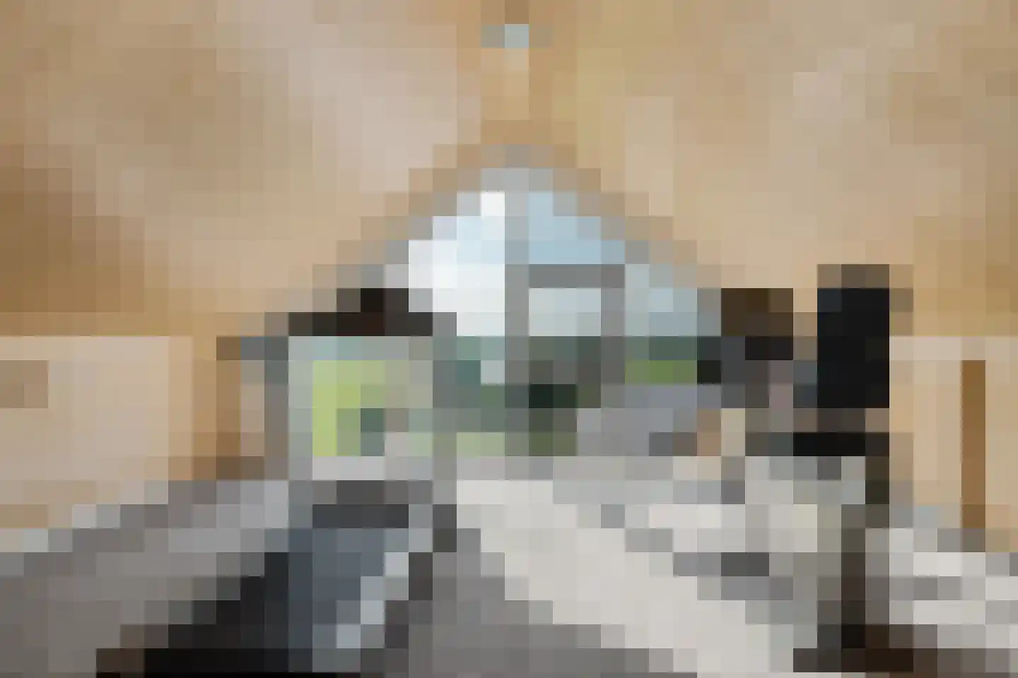 Oosterwijzend 40 Nibbixwoud thumbnail 43