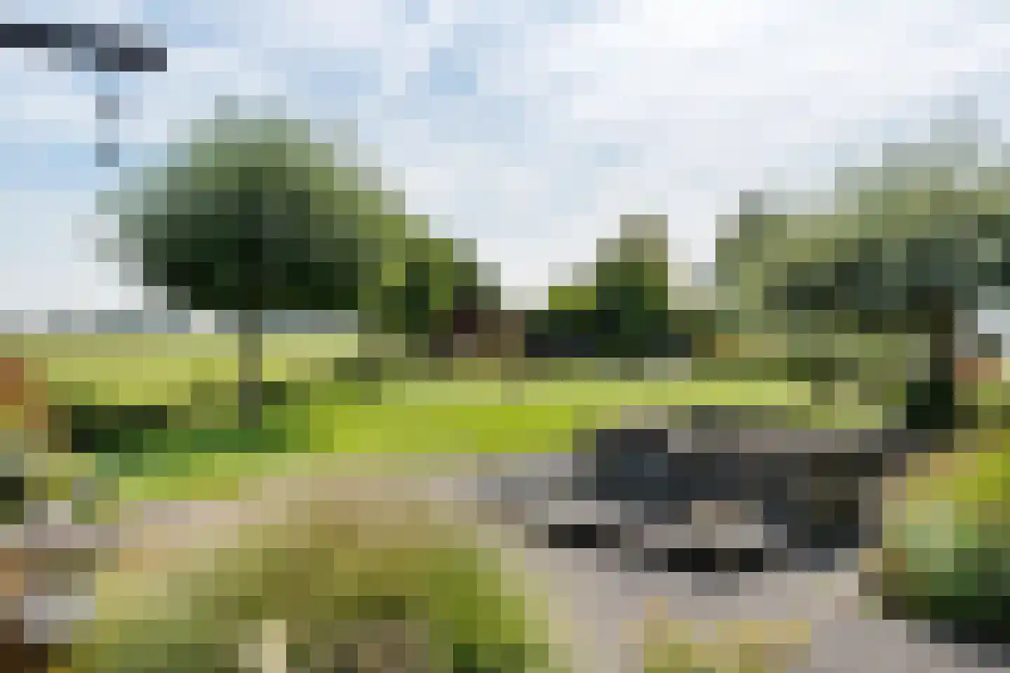 Oosterwijzend 40 Nibbixwoud thumbnail 46