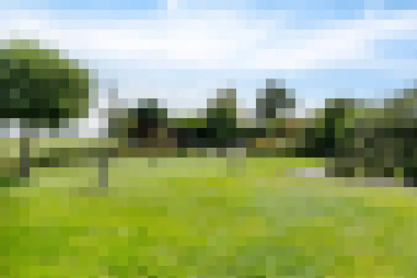 Oosterwijzend 40 Nibbixwoud thumbnail 52