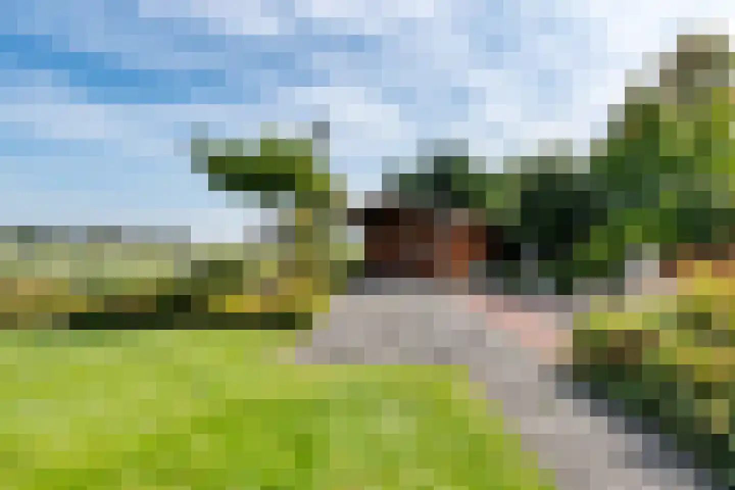 Oosterwijzend 40 Nibbixwoud thumbnail 54