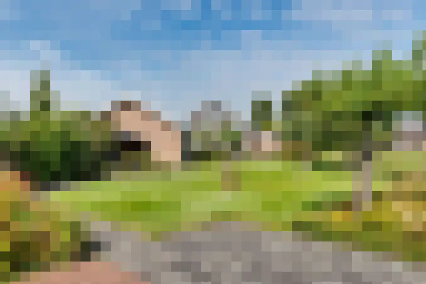 Oosterwijzend 40 Nibbixwoud thumbnail 55
