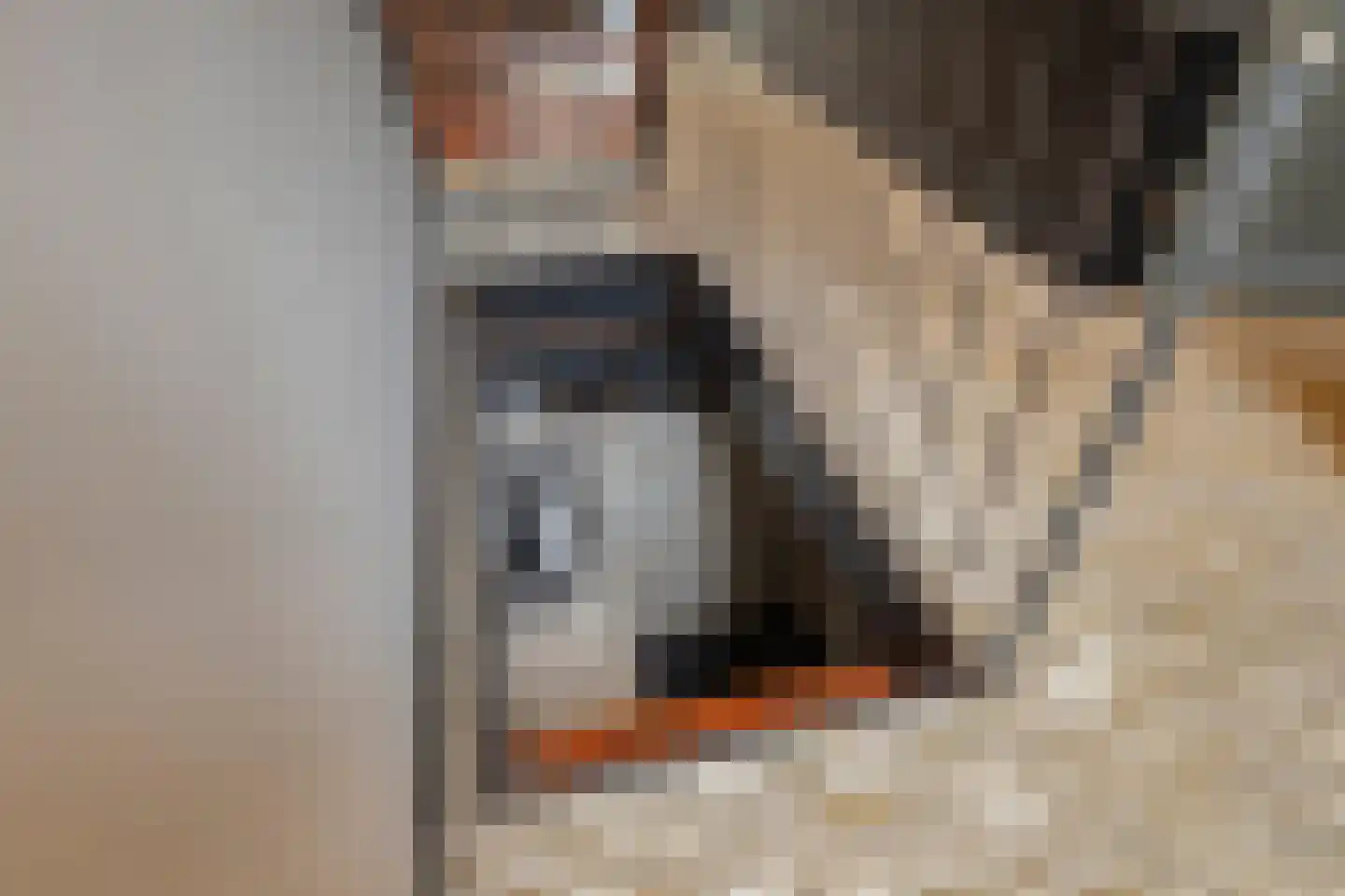 Oosterwijzend 44 Nibbixwoud thumbnail 13