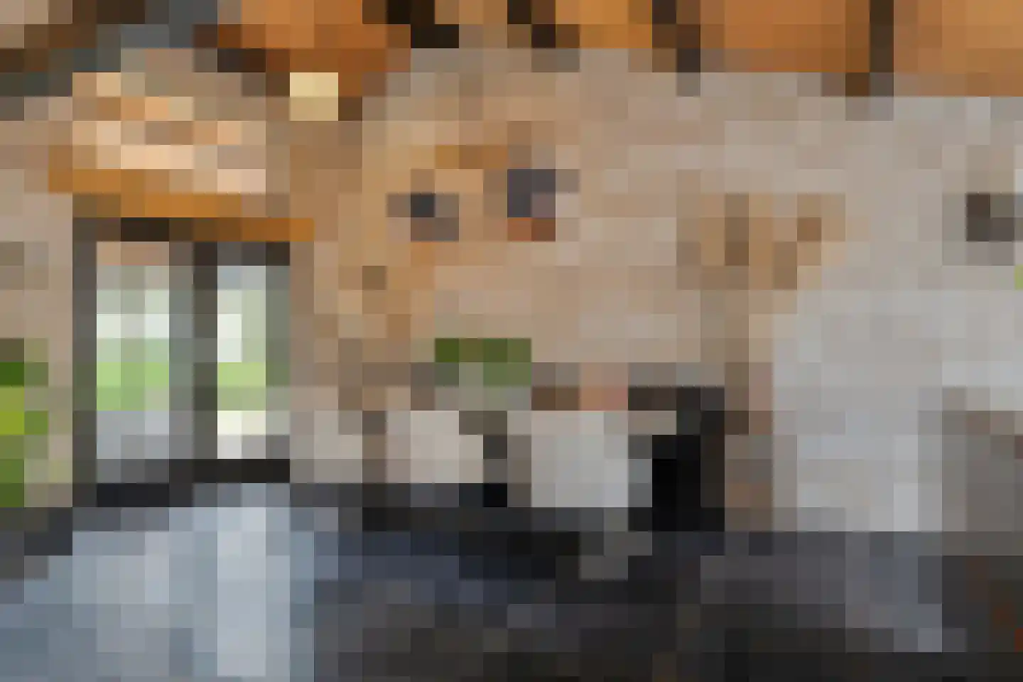Oosterwijzend 44 Nibbixwoud thumbnail 19