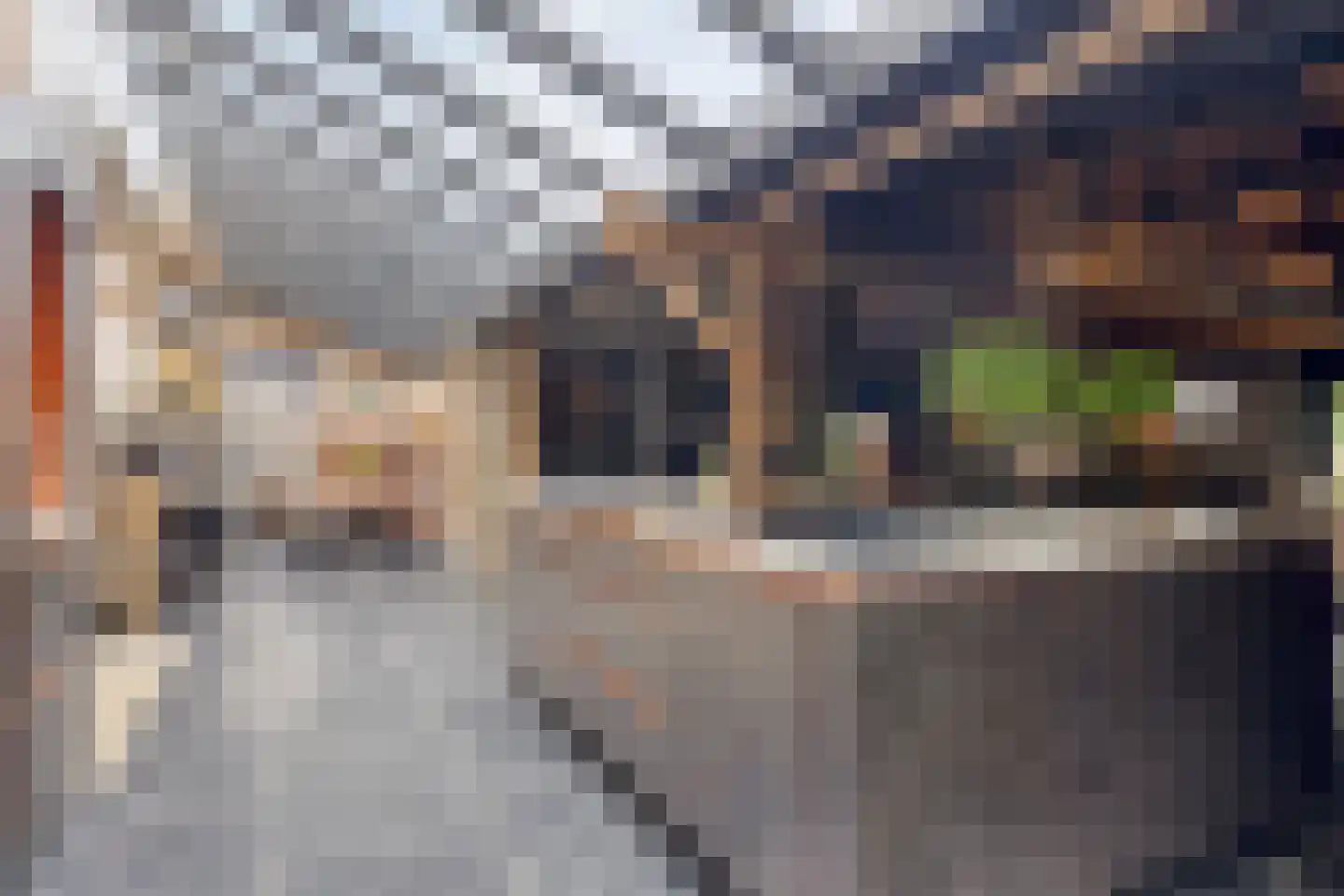 Oosterwijzend 44 Nibbixwoud thumbnail 23