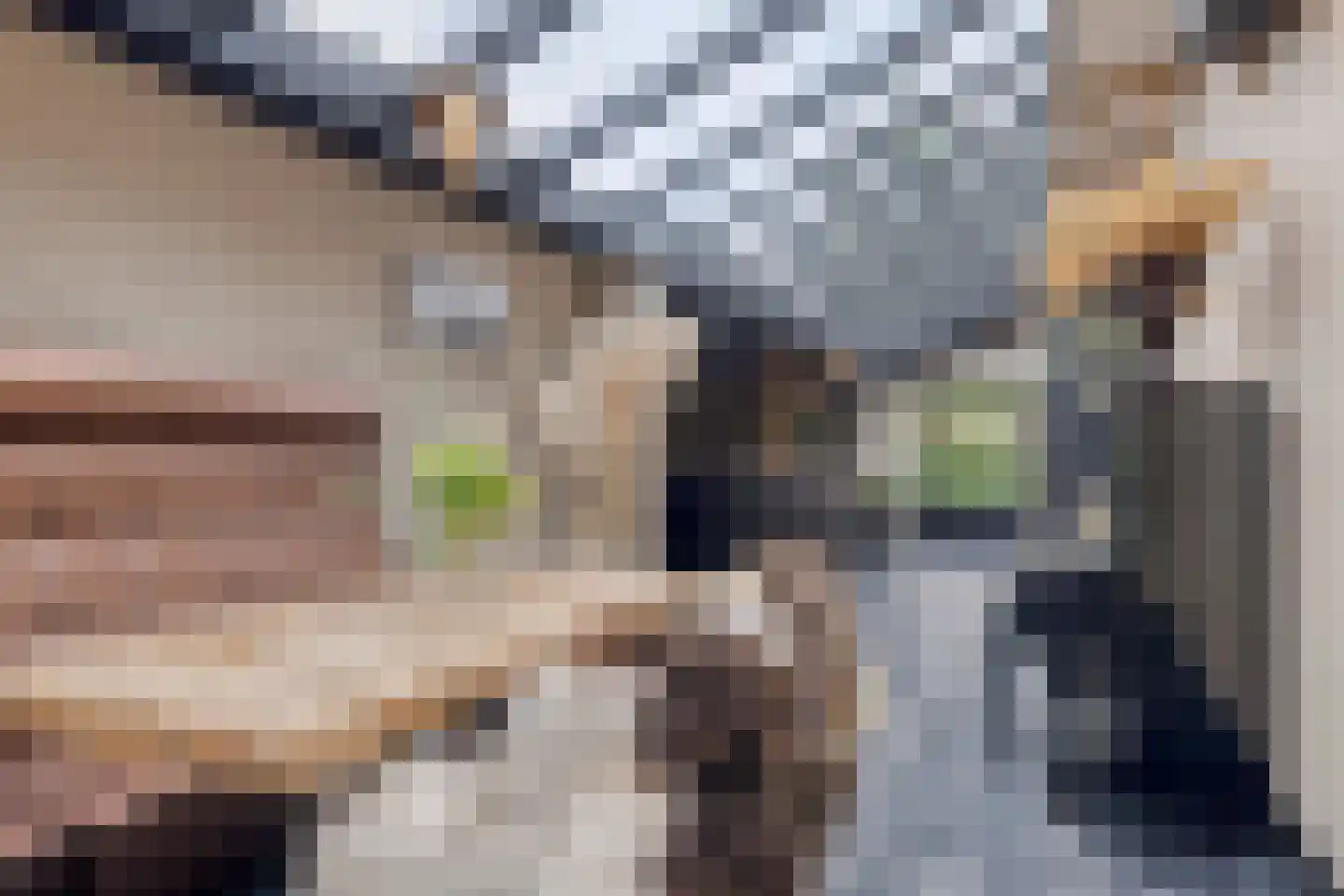 Oosterwijzend 44 Nibbixwoud thumbnail 27