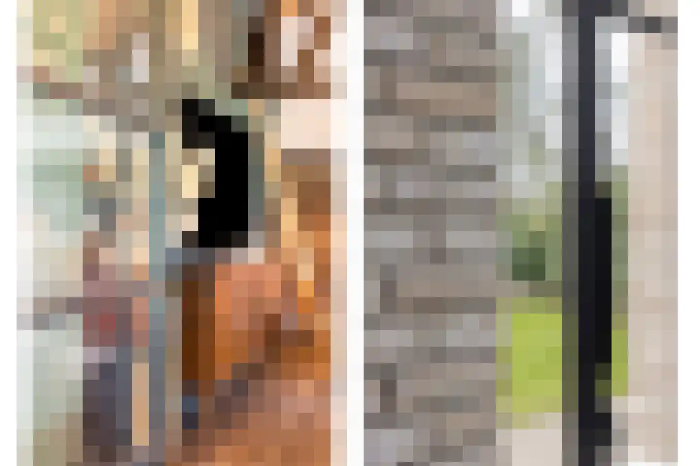 Oosterwijzend 44 Nibbixwoud thumbnail 32