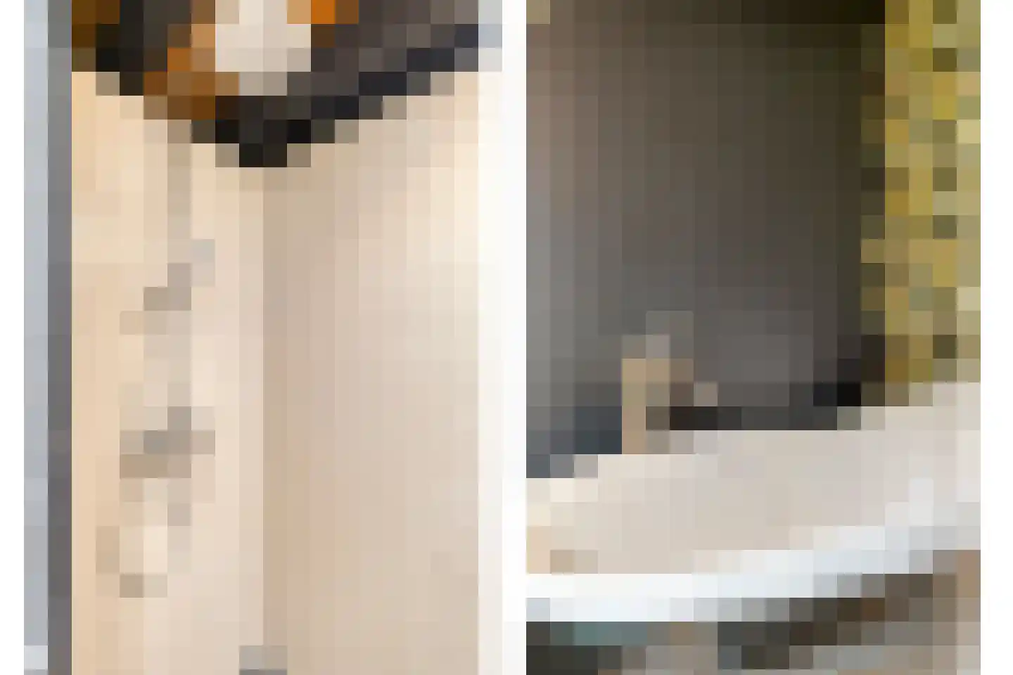 Oosterwijzend 44 Nibbixwoud thumbnail 39