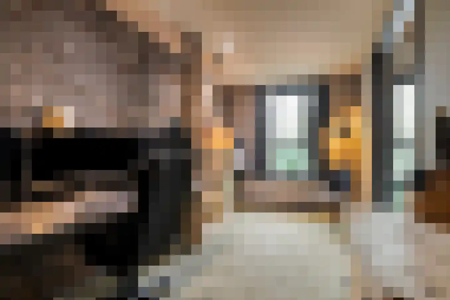 Oosterwijzend 44 Nibbixwoud thumbnail 48