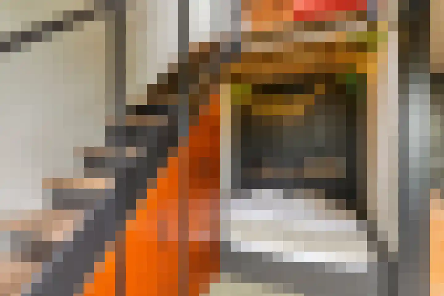 Oosterwijzend 44 Nibbixwoud thumbnail 50