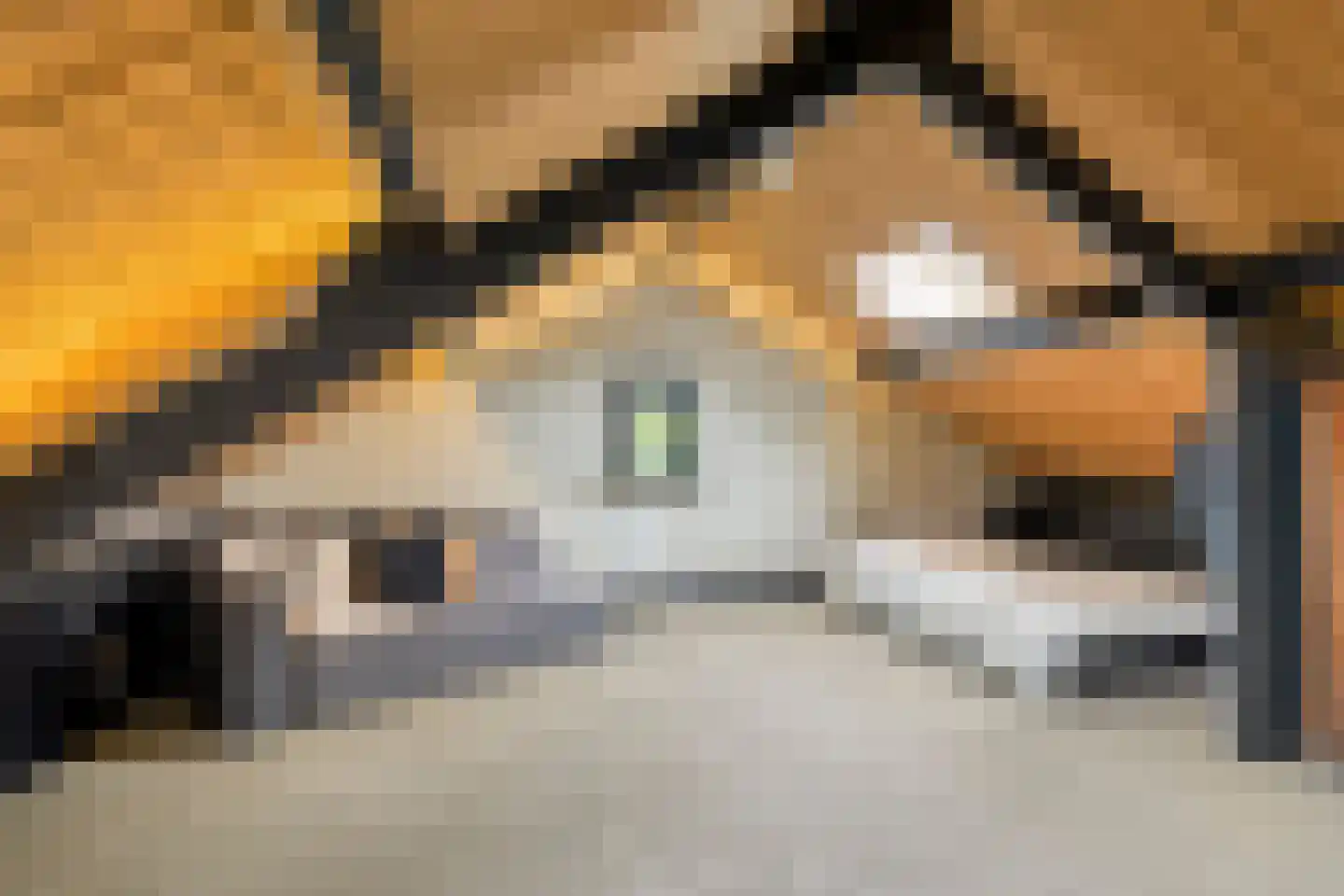 Oosterwijzend 44 Nibbixwoud thumbnail 55