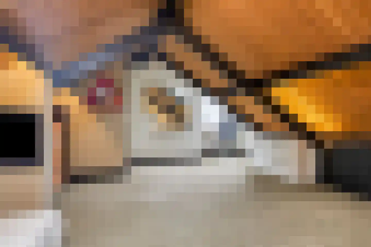 Oosterwijzend 44 Nibbixwoud thumbnail 56