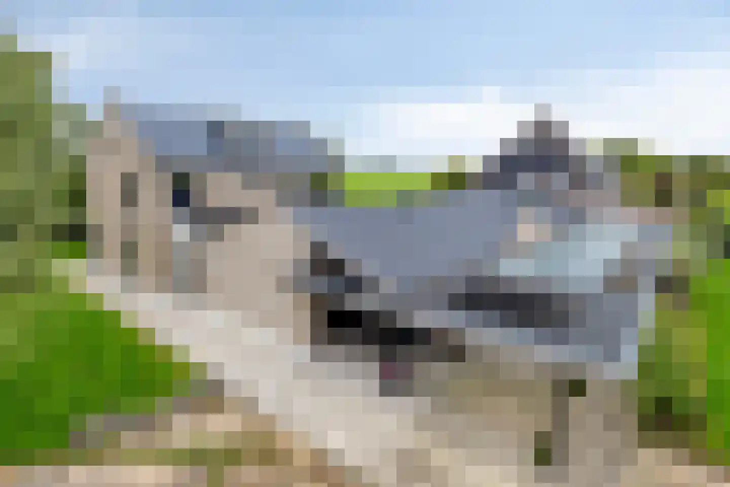 Oosterwijzend 44 Nibbixwoud thumbnail 6