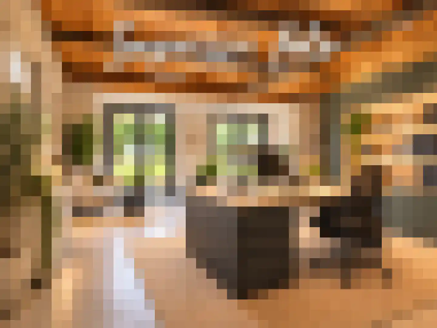 Oosterwijzend 44 Nibbixwoud thumbnail 60