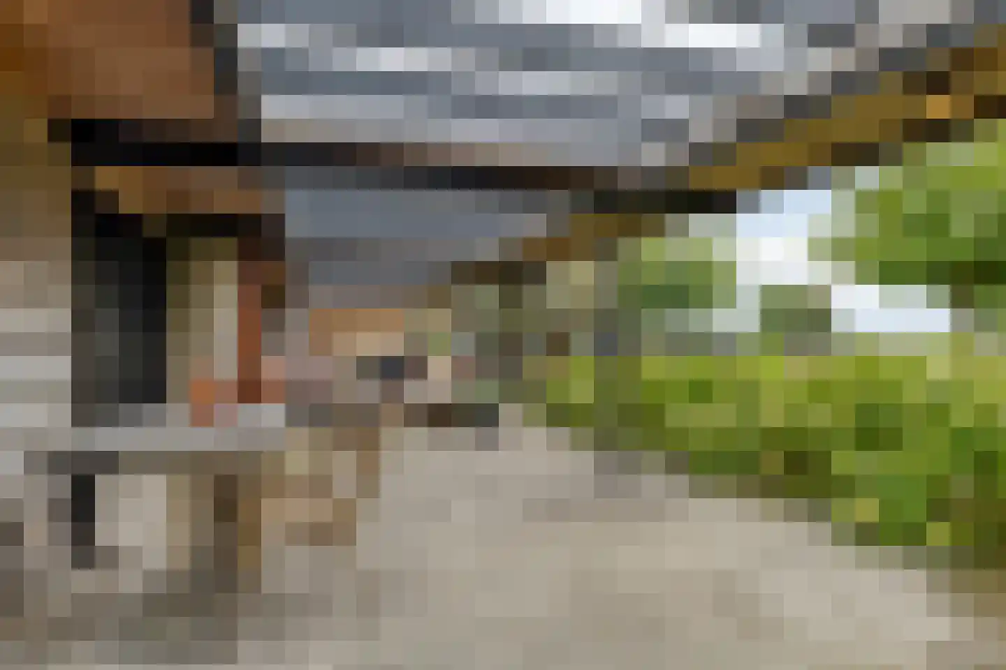 Oosterwijzend 44 Nibbixwoud thumbnail 65