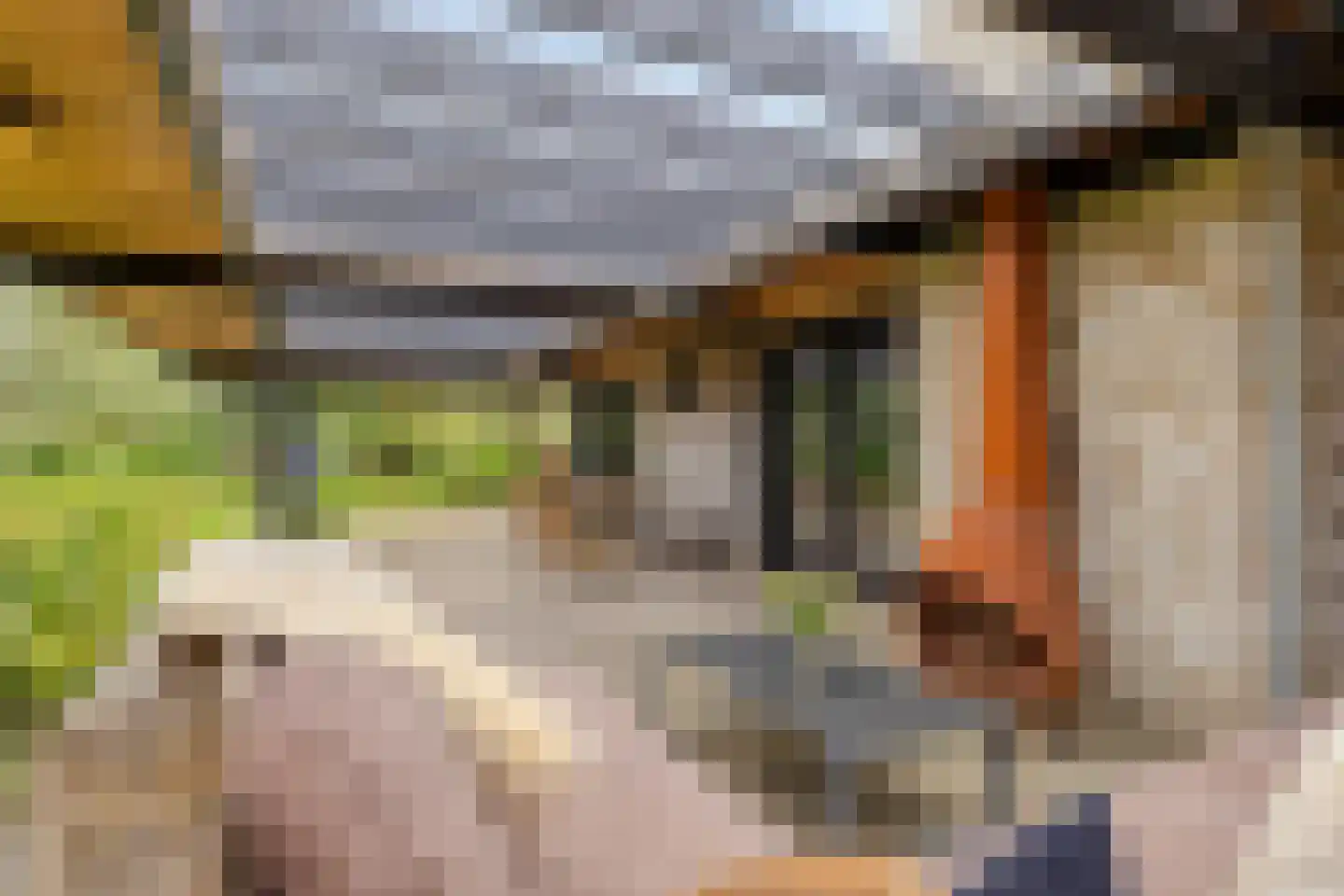 Oosterwijzend 44 Nibbixwoud thumbnail 66