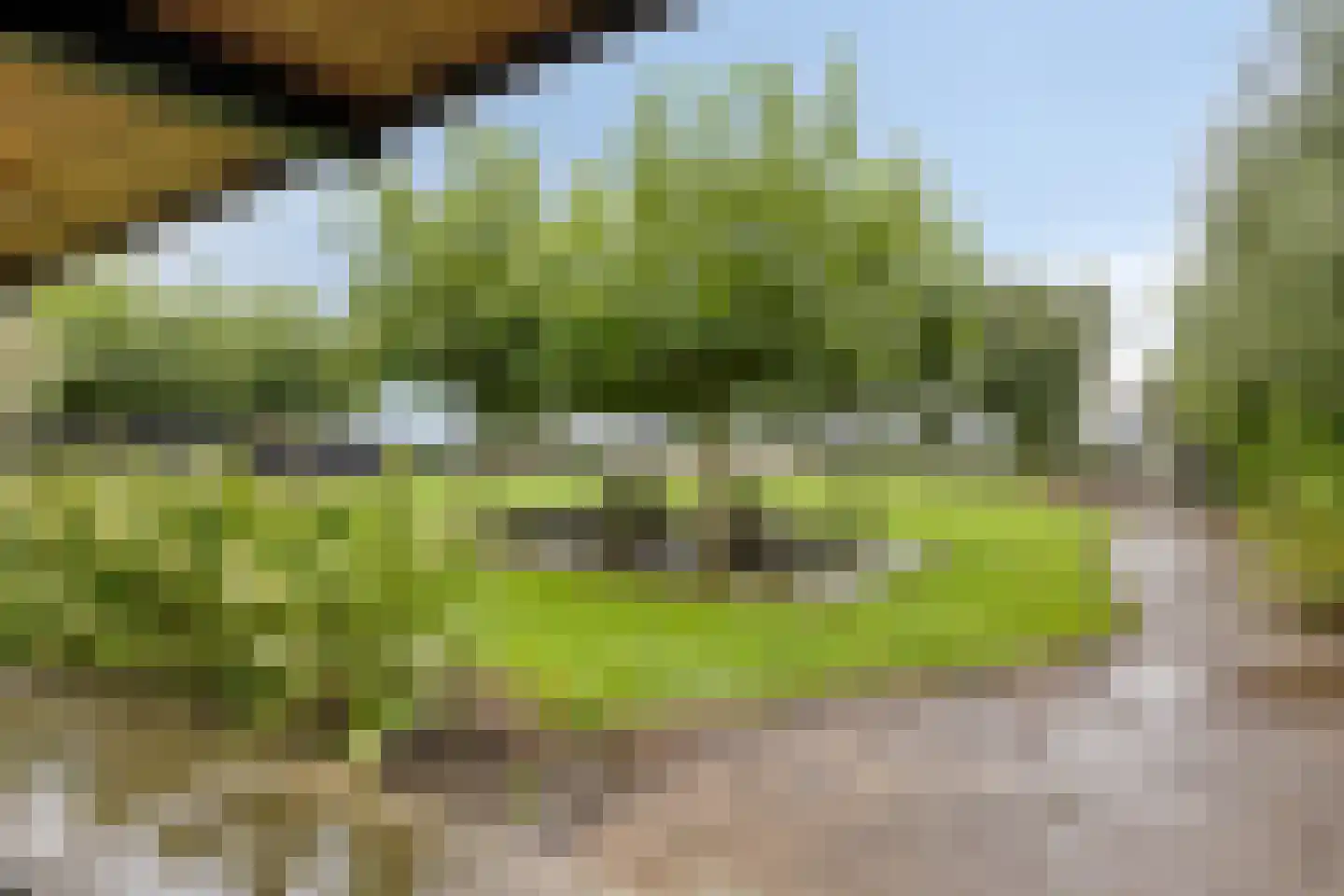 Oosterwijzend 44 Nibbixwoud thumbnail 67