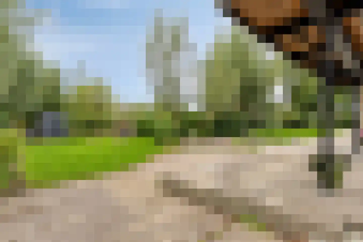 Oosterwijzend 44 Nibbixwoud thumbnail 68