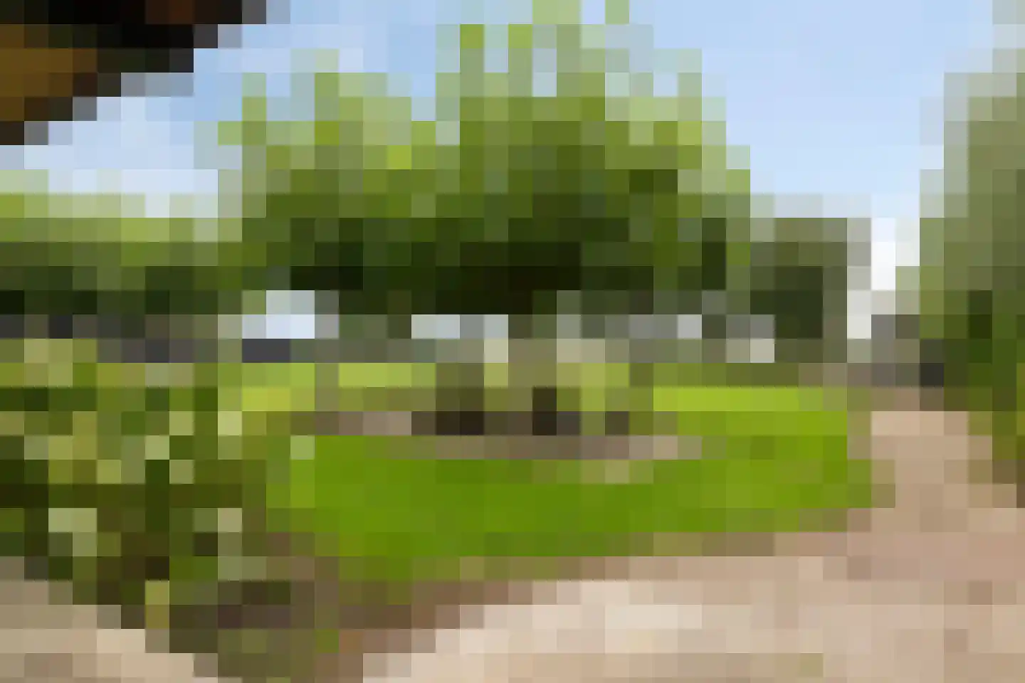 Oosterwijzend 44 Nibbixwoud thumbnail 69