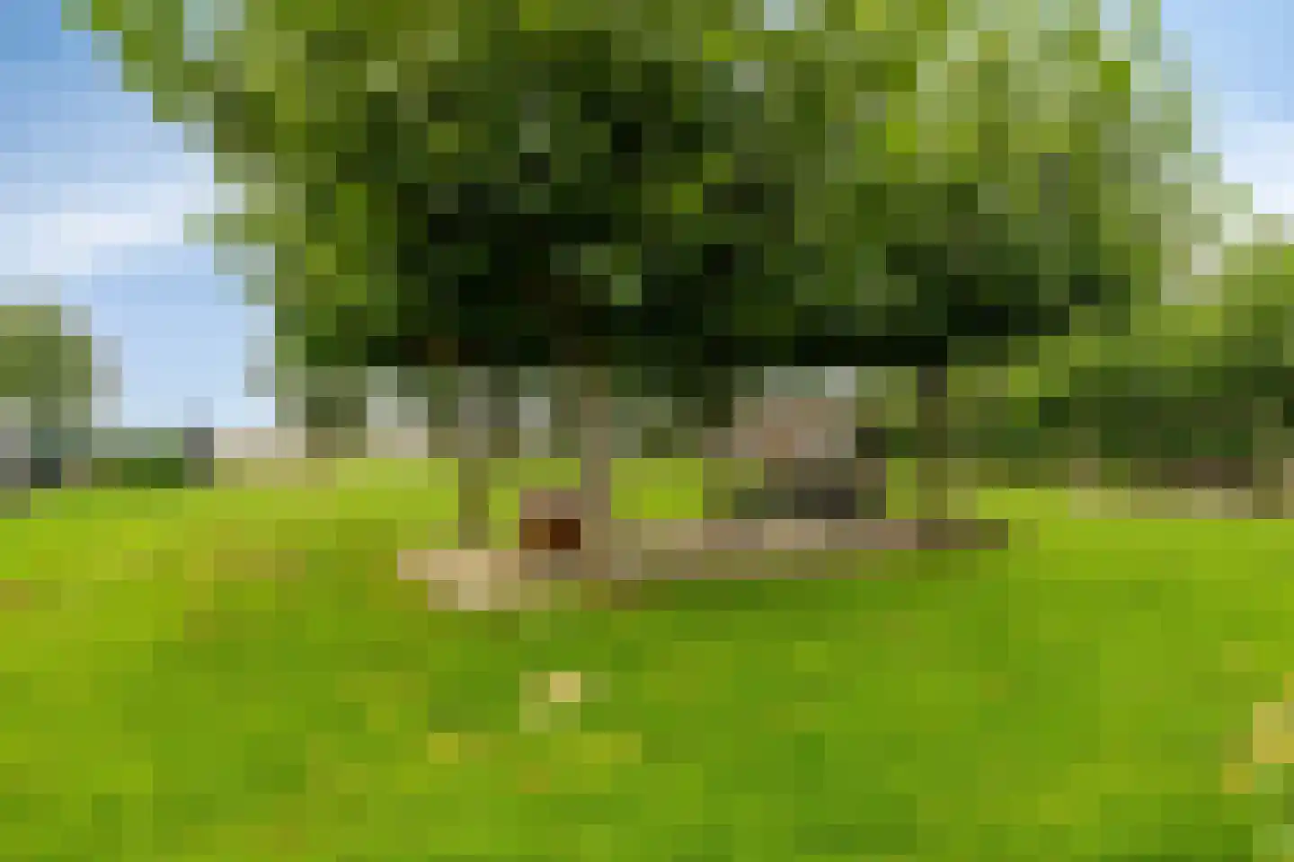 Oosterwijzend 44 Nibbixwoud thumbnail 70