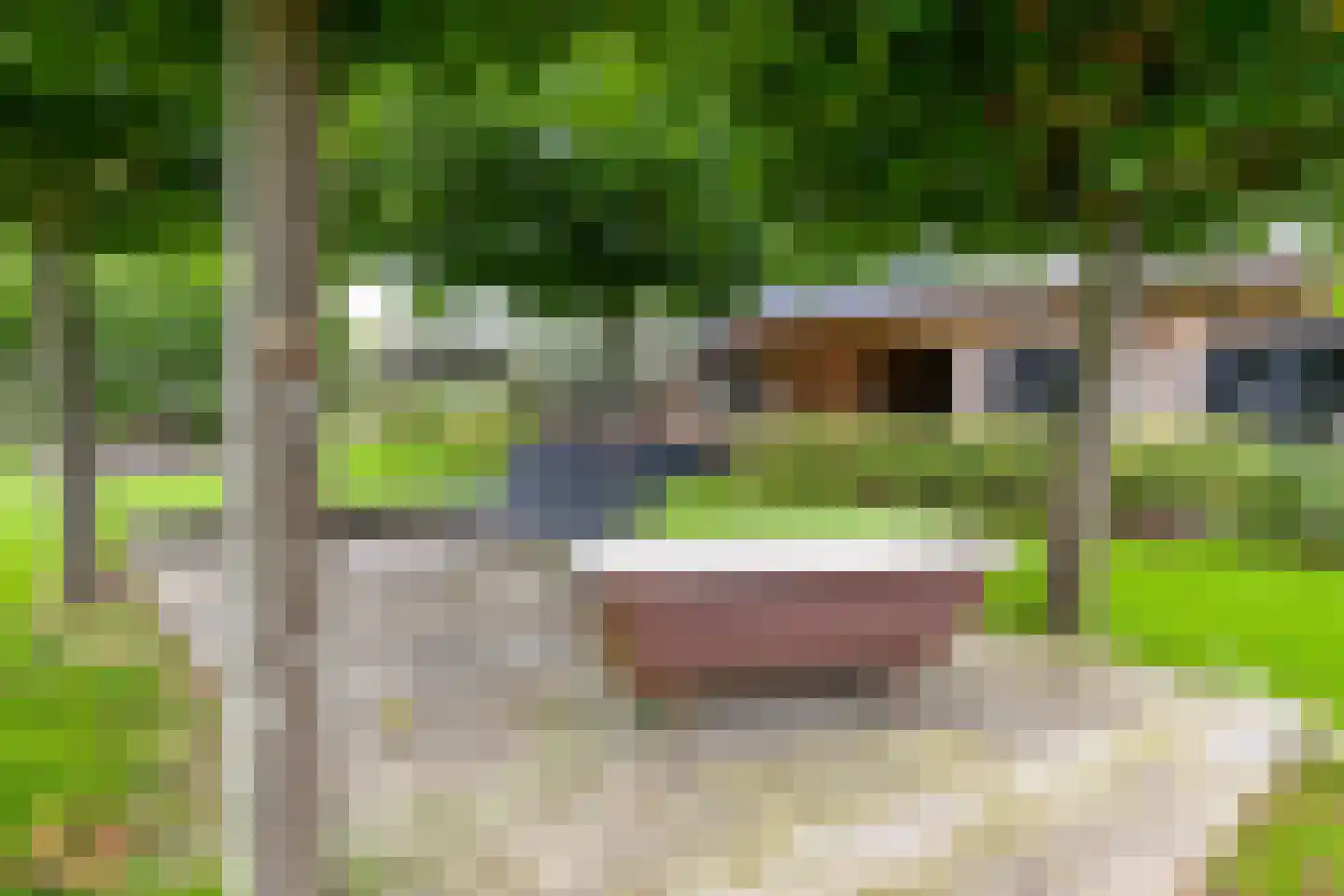 Oosterwijzend 44 Nibbixwoud thumbnail 71