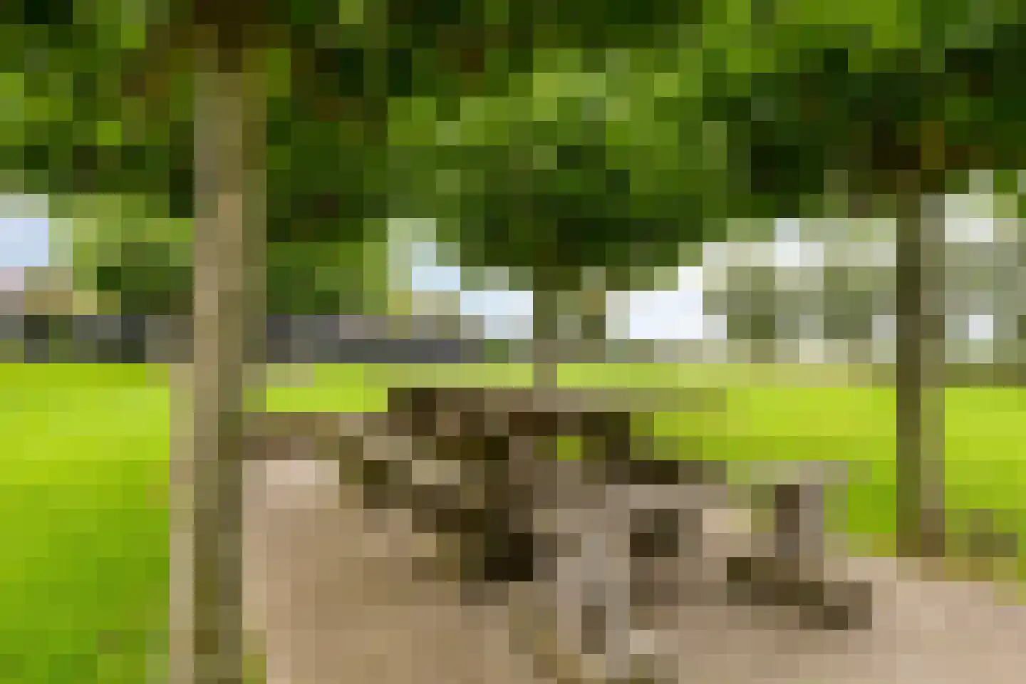 Oosterwijzend 44 Nibbixwoud thumbnail 72