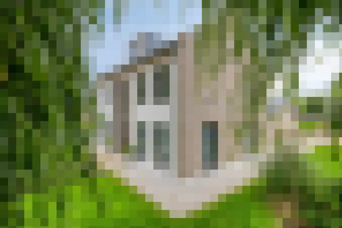 Oosterwijzend 44 Nibbixwoud thumbnail 75
