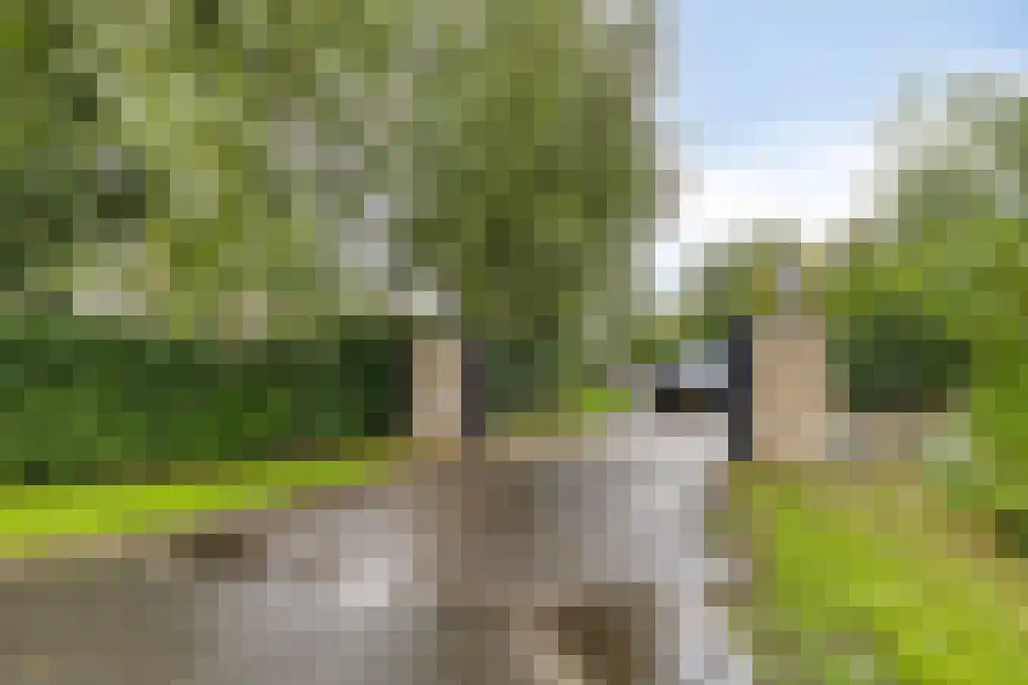 Oosterwijzend 44 Nibbixwoud thumbnail 77