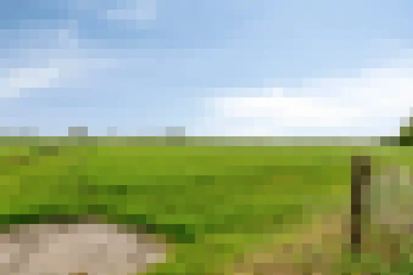 Oosterwijzend 44 Nibbixwoud thumbnail 86
