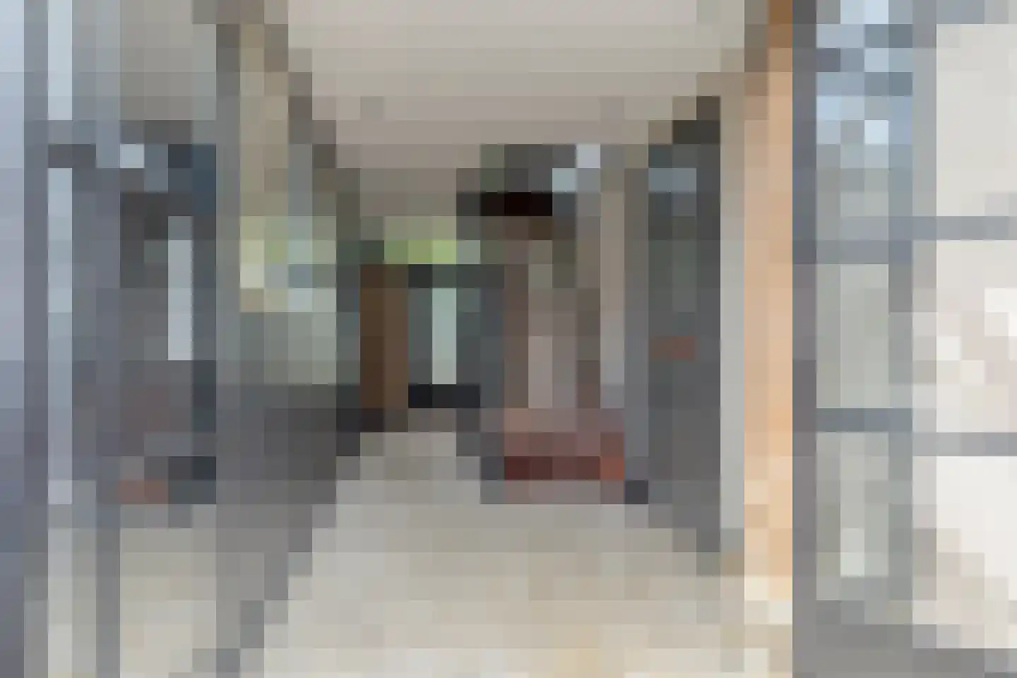 Oosterwijzend 44 Nibbixwoud thumbnail 9
