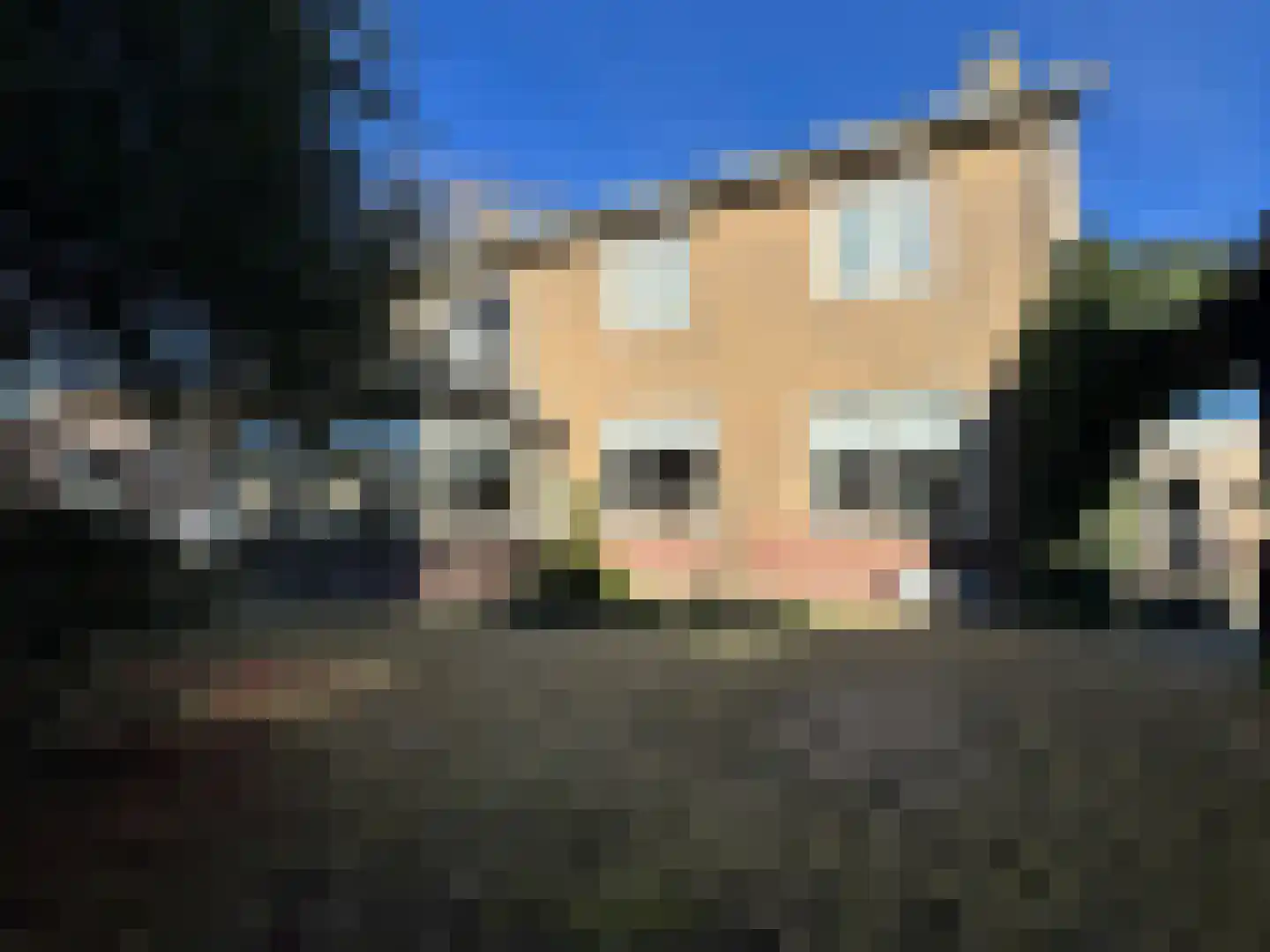 Oosterwoldseweg 1 Haulerwijk thumbnail 51