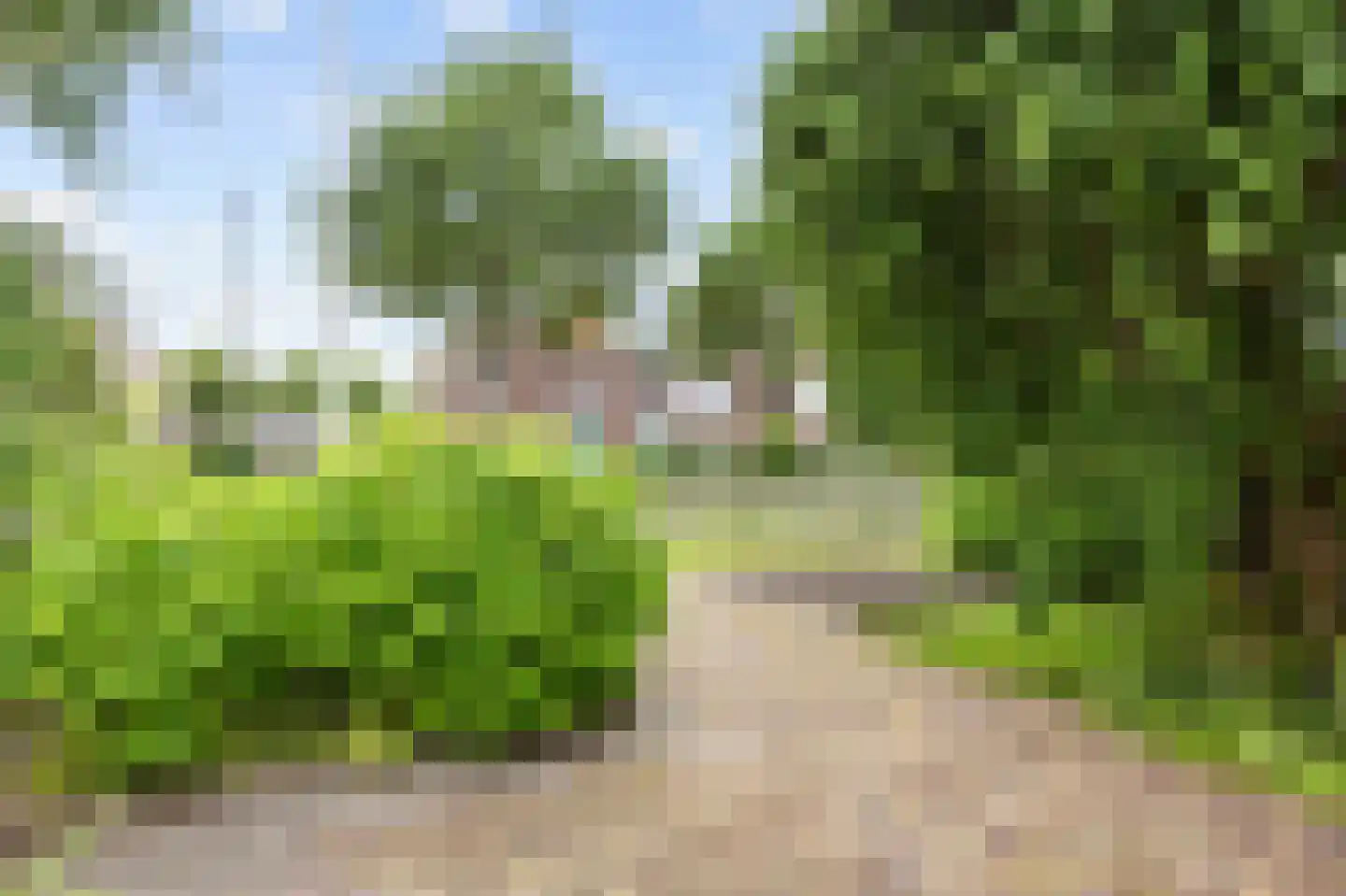Oosterwoldseweg 1 Haulerwijk thumbnail 56