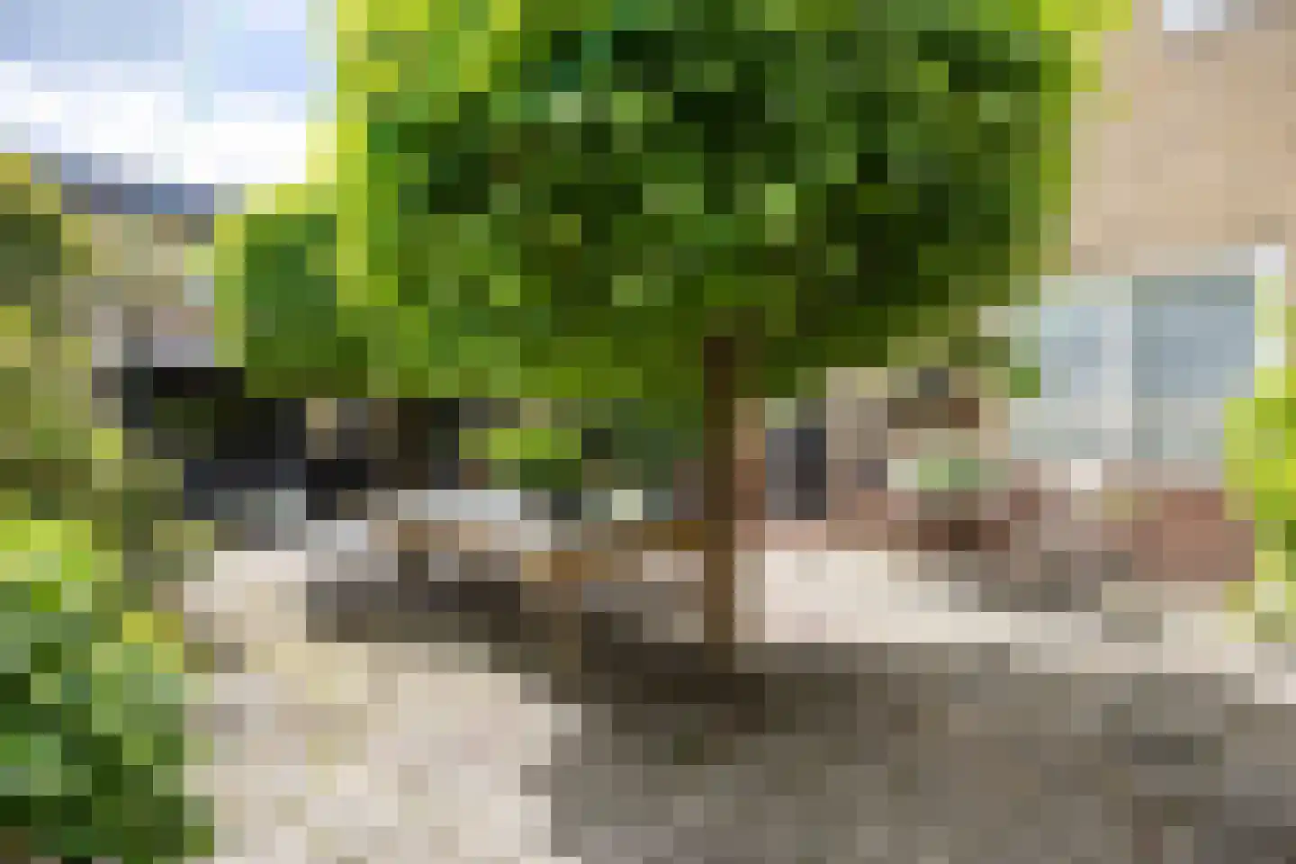 Oosterwoldseweg 1 Haulerwijk thumbnail 59