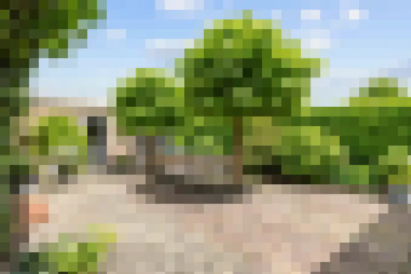 Oosterwoldseweg 1 Haulerwijk thumbnail 64