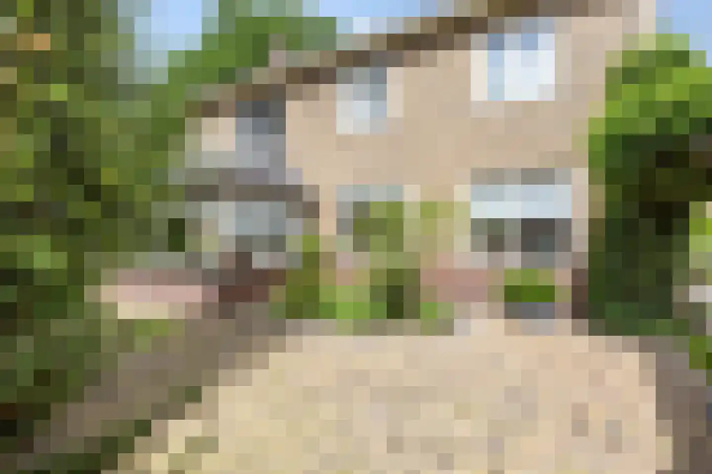 Oosterwoldseweg 1 Haulerwijk thumbnail 66