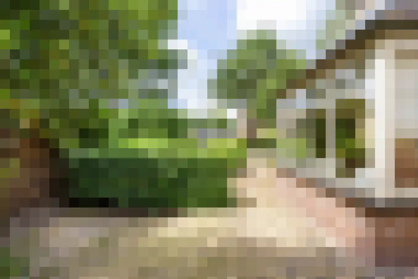 Oosterwoldseweg 1 Haulerwijk thumbnail 68