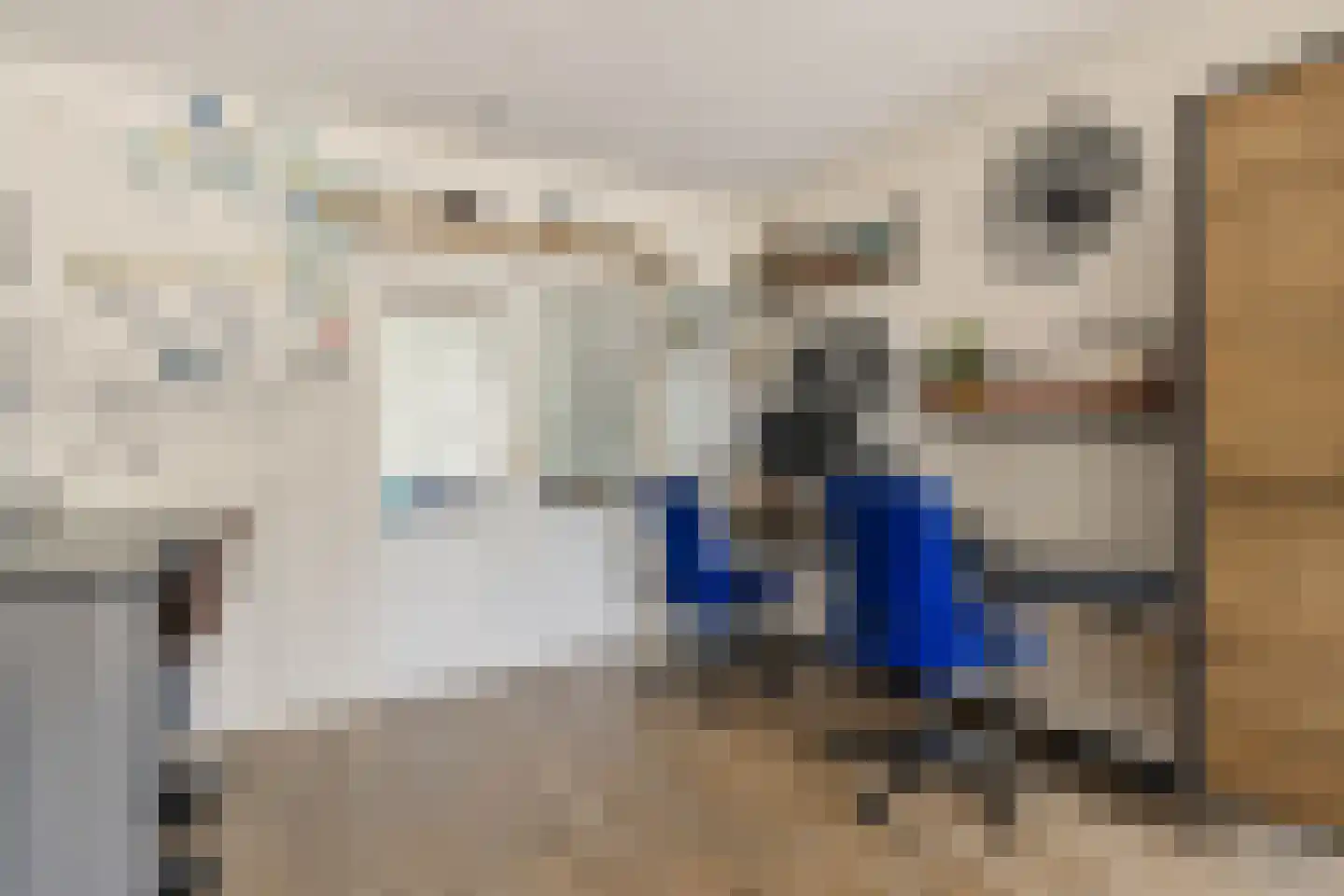 Oosterwoldseweg 30 A Haulerwijk thumbnail 11