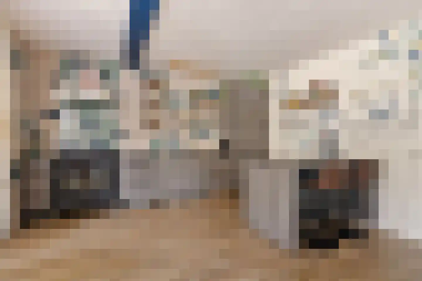 Oosterwoldseweg 30 A Haulerwijk thumbnail 16