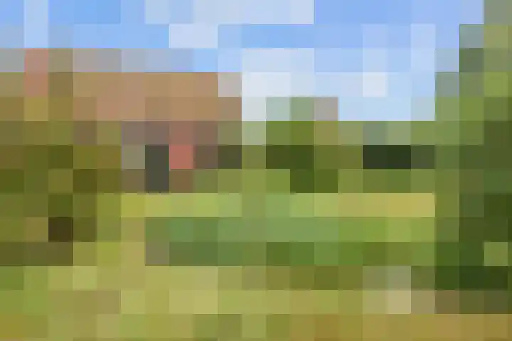 Oosterwoldseweg 40 Haulerwijk thumbnail 53