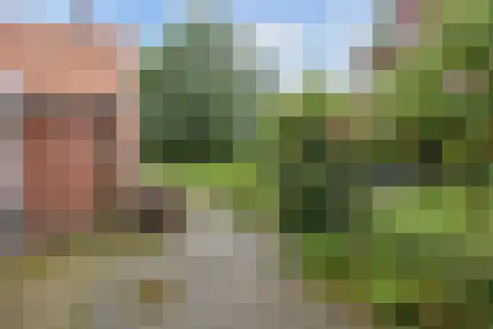 Oosterwoldseweg 40 Haulerwijk thumbnail 57
