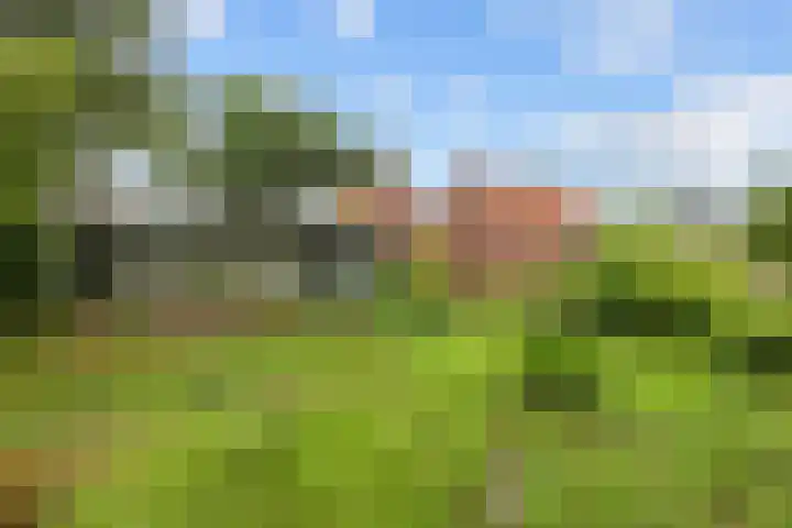 Oosterwoldseweg 40 Haulerwijk thumbnail 61